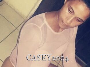 CASEY2004