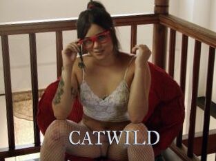 CATWILD