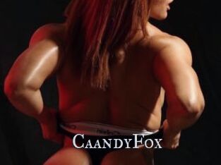 CaandyFox