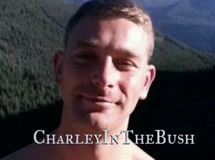 CharleyInTheBush