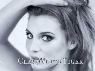 ClaraWhiteTiger