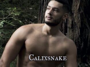 Calixsnake