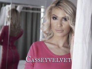 Casseyvelvet