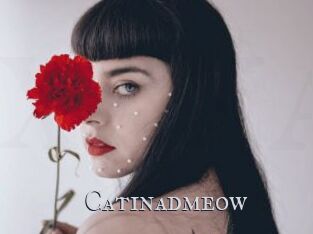 catinadmeow Xxx Amateur