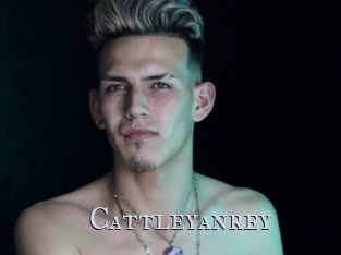 cattleyanrey Xxx Amateur