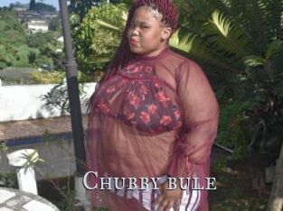 Chubby_bule
