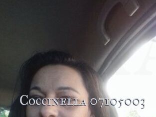 Coccinella-07105003