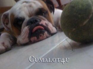 Cumalot4u