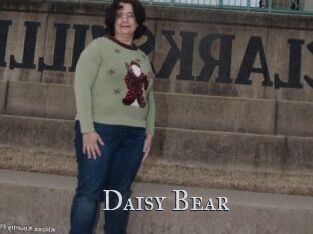 Daisy_Bear