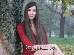 Didgeridoo