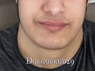 Dolgoprud29