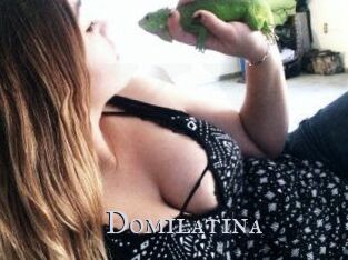 Domilatina