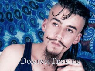 DominicTerrier