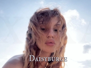 Daisyburge