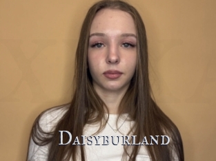 Daisyburland