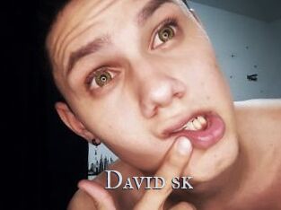 David_sk