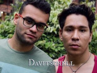 Davitschell