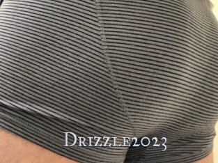 Drizzle2023