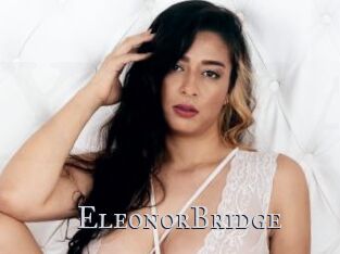 EleonorBridge