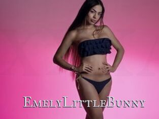 EmelyLittleBunny