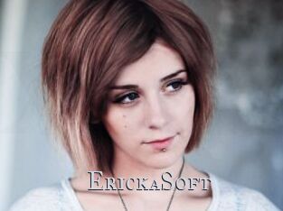 ErickaSoft