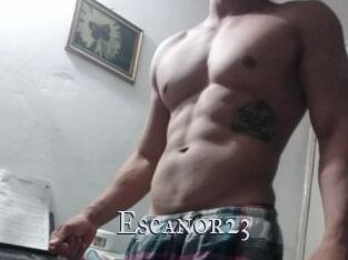 Escanor23