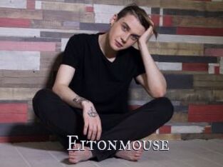 Eitonmouse