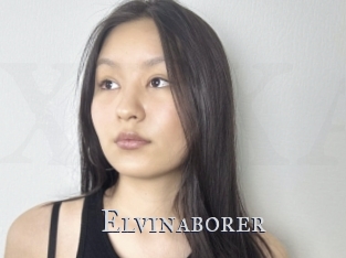 Elvinaborer