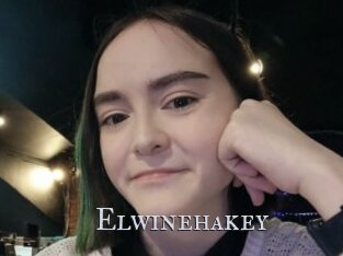 Elwinehakey