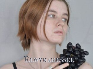 Elwynahessel