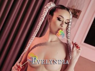Evelyndia