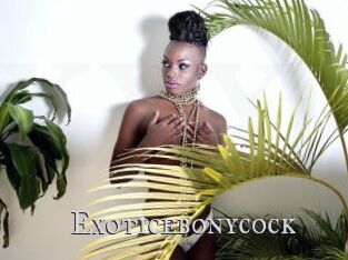 Exoticebonycock