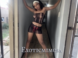 Exoticmimosa