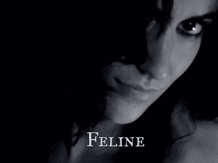 Feline Xxx Amateur