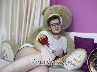 Felixmanus