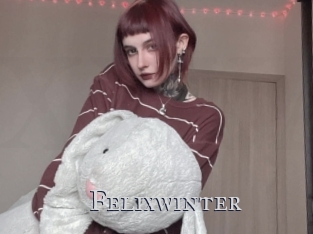 Felixwinter