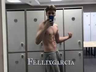Fellixgarcia