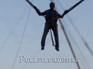 Fullfilurdesire