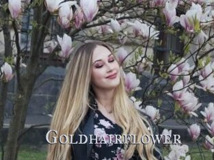 Goldhairflower