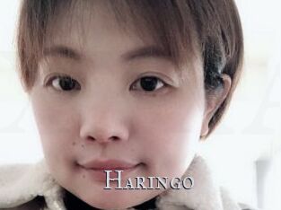 Haringo
