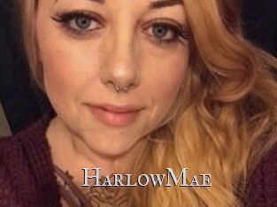 HarlowMae