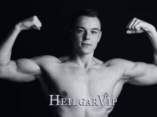 HeilgarVip