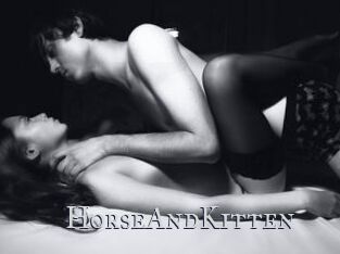 HorseAndKitten