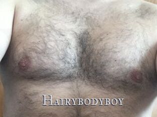Hairybodyboy