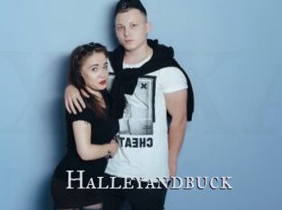 Halleyandbuck