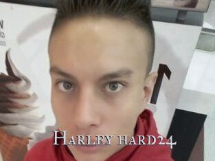 Harley_hard24