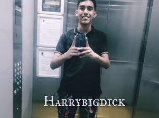 Harrybigdick