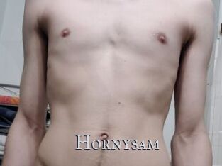 Hornysam