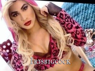 Irisbigcock