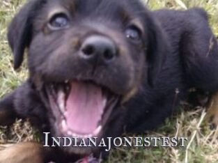 Indianajonestest
